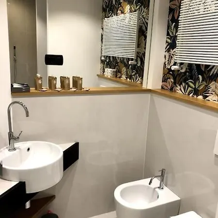 New Vite Róma